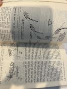 L'école de la voile : initiation et régate d'Alan Brown