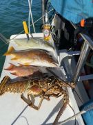 CS30, 30 ft, 1990, Esperanto