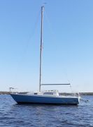 Pearson 26`, 26.8 pieds, 1981, No. de permis : 29D1650