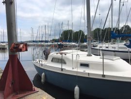 Pearson 26`, 26.8 pieds, 1981, No. de permis : 29D1650