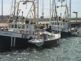 Bruce Roberts, 37 pieds, 1995, ZEN