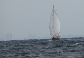 Bruce Roberts, 37 pieds, 1995, ZEN