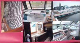 Bateau Sea Ray 1987 à vendre, 34 ft, 1987