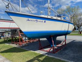 O'Day 28, 28 ft, 1984, Aurore Boréale