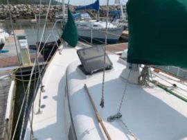 Bayfield, 32 pieds, 1981
