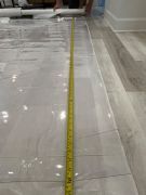 Vinyle transparent pour Dodger