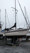 Edel 820, 27 ft, 1981, Au gré du vent