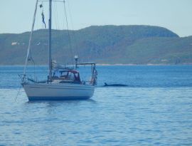 Jeanneau Attalia 32, 32 ft, 1986, Euphoria 