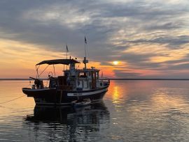 Nordic tugs 26, 26 pieds, 1989, Aarluk IV