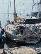 Bayfields 36 , 36 pieds, 1988, Fleurette