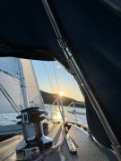 Catalina Capri 26, 26 pieds, 1991, Capri   – Nouveau moteur 2024