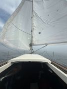 Tanzer 26, 26 pieds, 1978, Sowatt